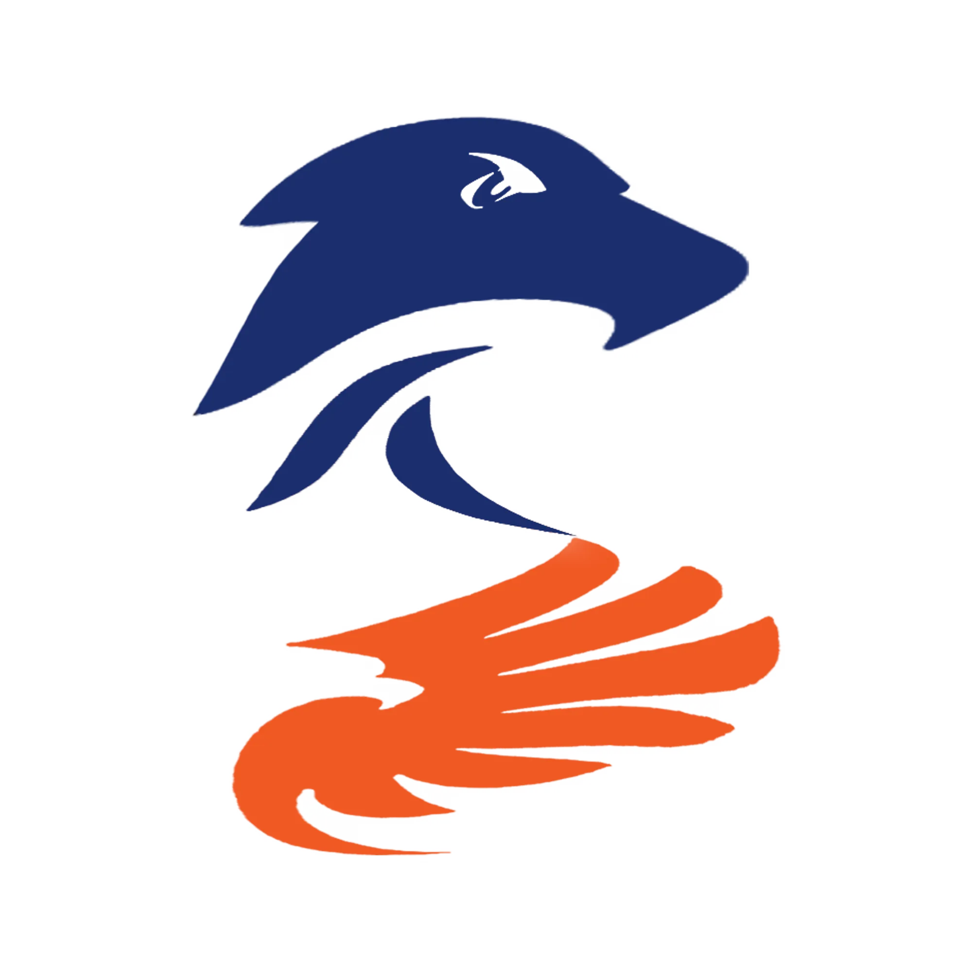 NEST™ Logo